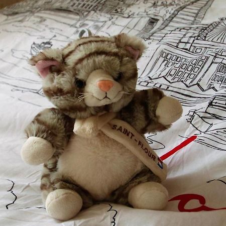 La Maison Des Chats Saint-Mary-le-Plain Екстер'єр фото