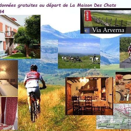 La Maison Des Chats Saint-Mary-le-Plain Екстер'єр фото
