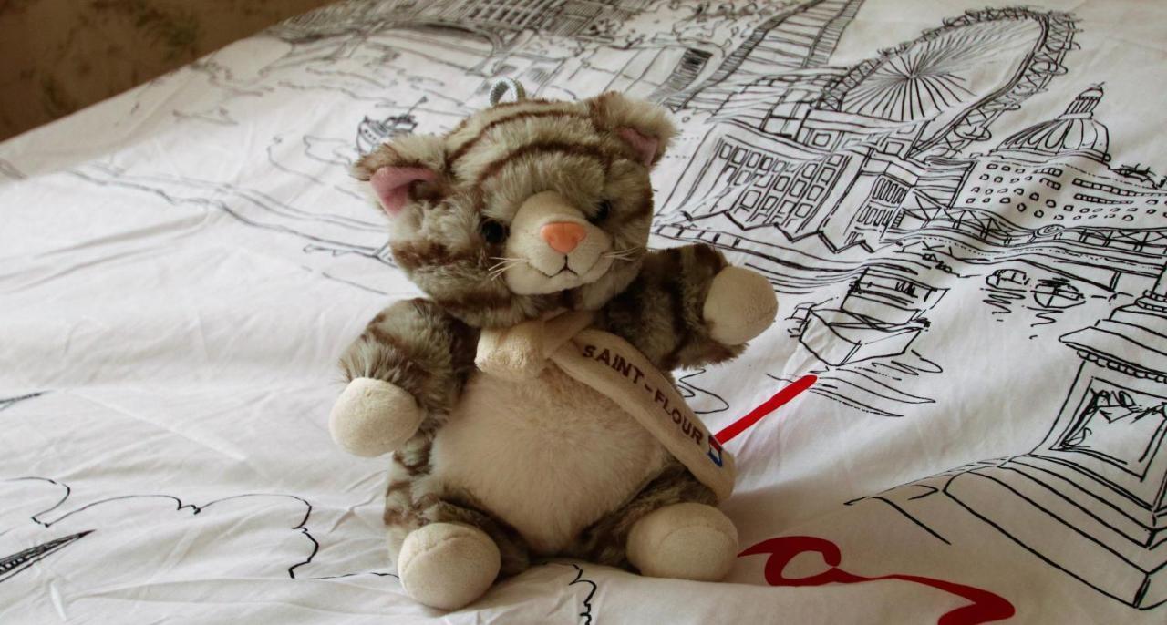 La Maison Des Chats Saint-Mary-le-Plain Екстер'єр фото