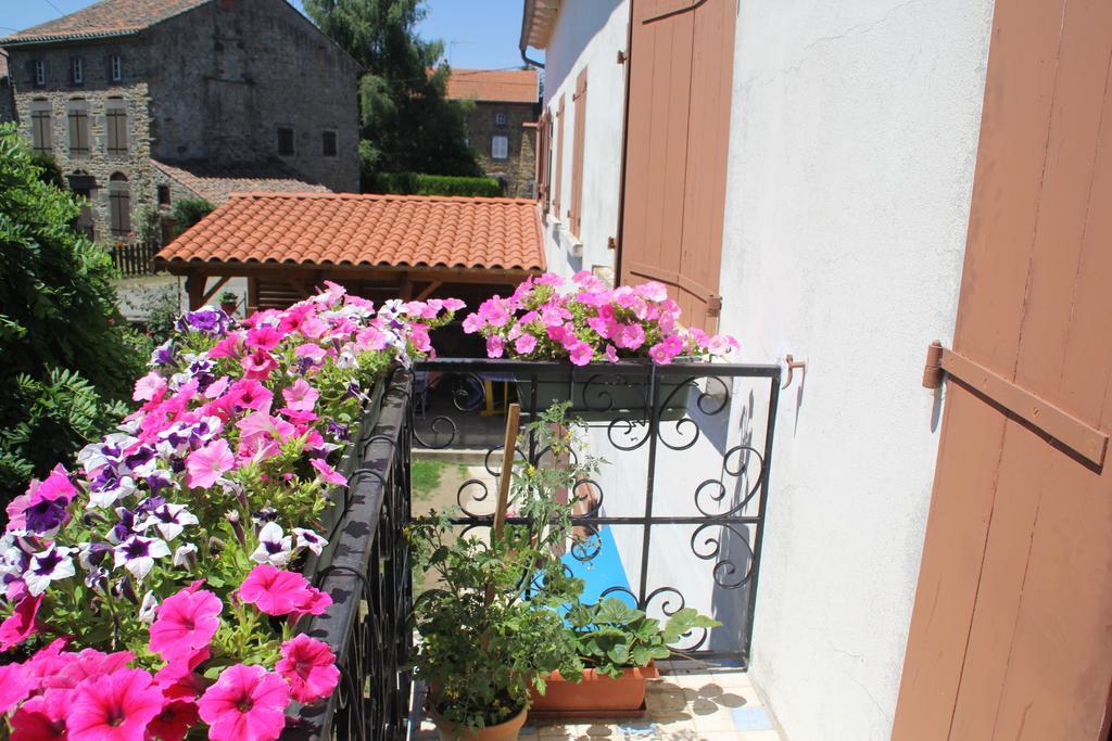 La Maison Des Chats Saint-Mary-le-Plain Екстер'єр фото