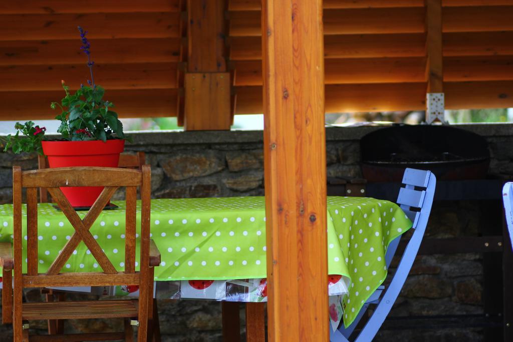 La Maison Des Chats Saint-Mary-le-Plain Екстер'єр фото