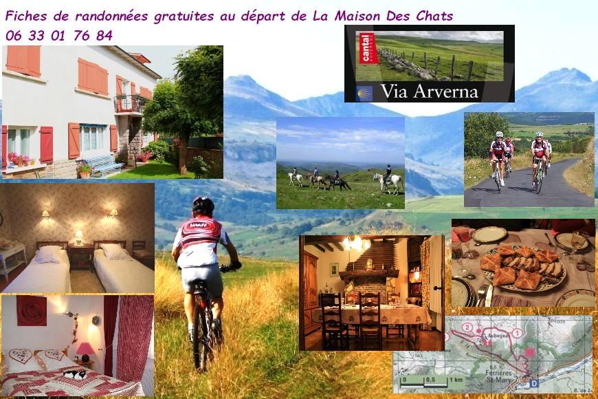 La Maison Des Chats Saint-Mary-le-Plain Екстер'єр фото